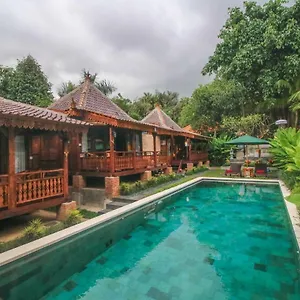 Ari Ubud